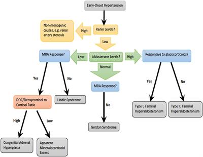 Overview of Monogenic or Mendelian Forms of Hypertension